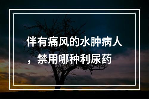 伴有痛风的水肿病人，禁用哪种利尿药