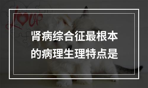 肾病综合征最根本的病理生理特点是