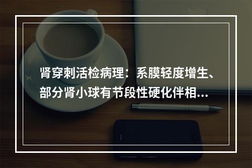 肾穿刺活检病理：系膜轻度增生、部分肾小球有节段性硬化伴相应的