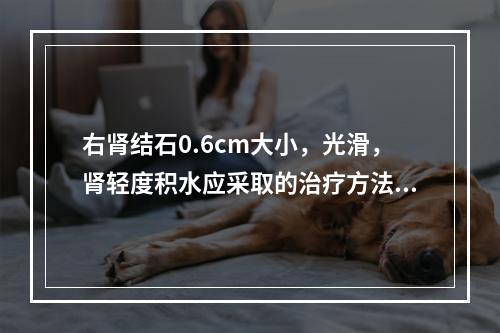 右肾结石0.6cm大小，光滑，肾轻度积水应采取的治疗方法是（