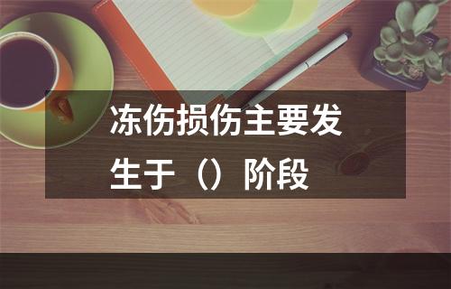 冻伤损伤主要发生于（）阶段