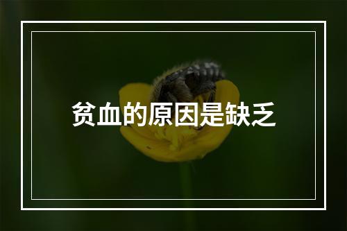 贫血的原因是缺乏