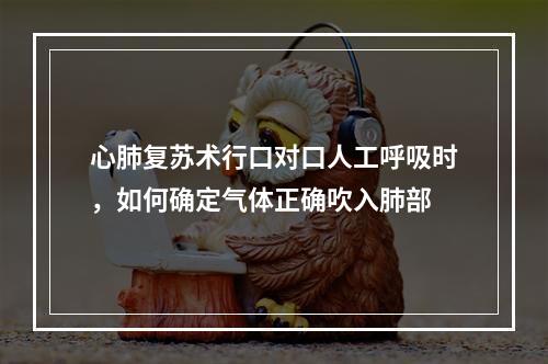 心肺复苏术行口对口人工呼吸时，如何确定气体正确吹入肺部