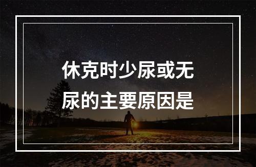 休克时少尿或无尿的主要原因是