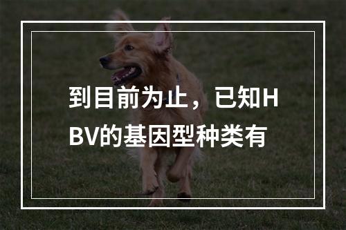 到目前为止，已知HBV的基因型种类有