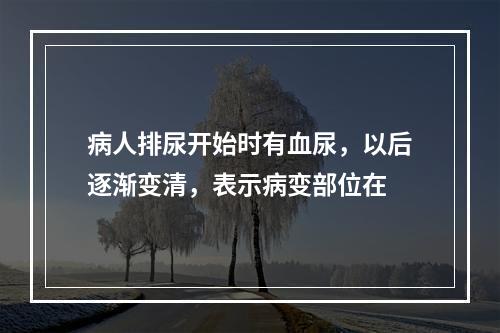 病人排尿开始时有血尿，以后逐渐变清，表示病变部位在