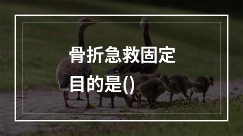 骨折急救固定目的是()