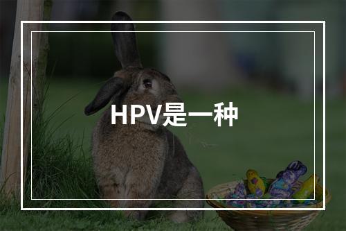 HPV是一种