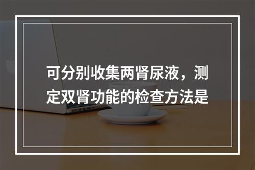 可分别收集两肾尿液，测定双肾功能的检查方法是