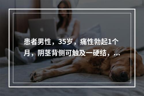 患者男性，35岁，痛性勃起1个月，阴茎背侧可触及一硬结，排尿