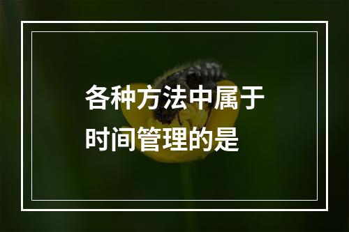 各种方法中属于时间管理的是