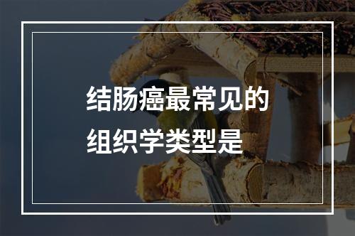 结肠癌最常见的组织学类型是