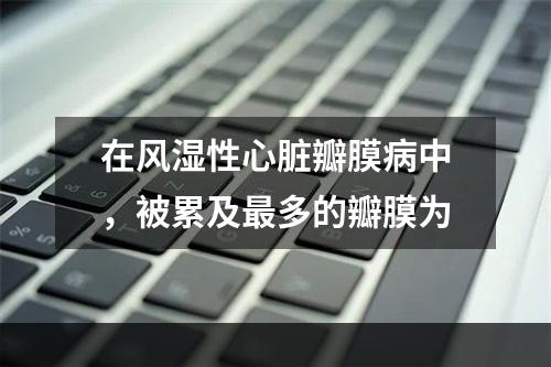 在风湿性心脏瓣膜病中，被累及最多的瓣膜为