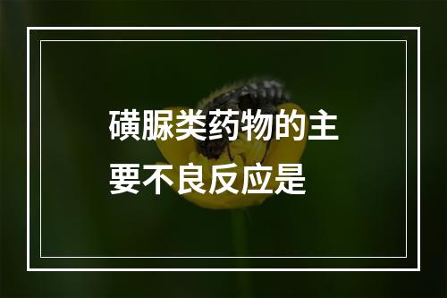 磺脲类药物的主要不良反应是