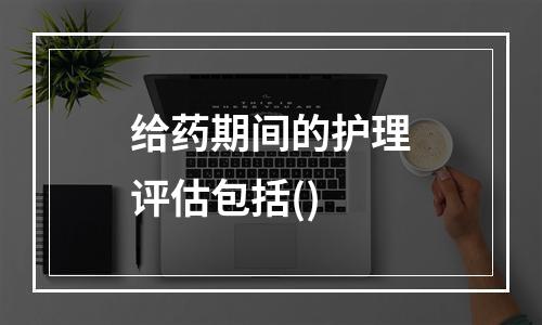 给药期间的护理评估包括()