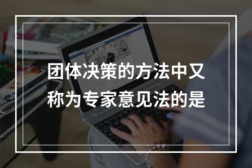 团体决策的方法中又称为专家意见法的是