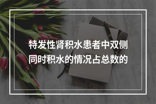 特发性肾积水患者中双侧同时积水的情况占总数的