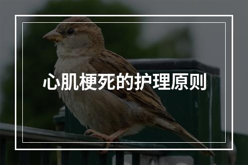 心肌梗死的护理原则