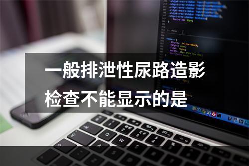 一般排泄性尿路造影检查不能显示的是