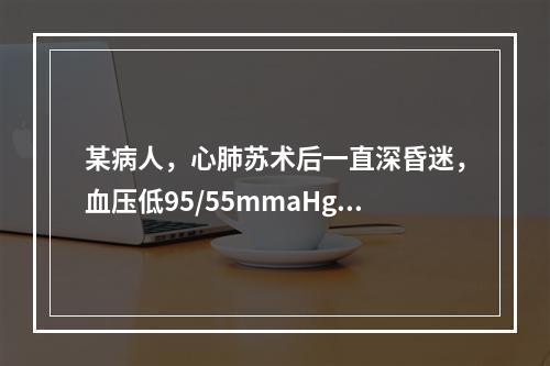 某病人，心肺苏术后一直深昏迷，血压低95/55mmaHg，心