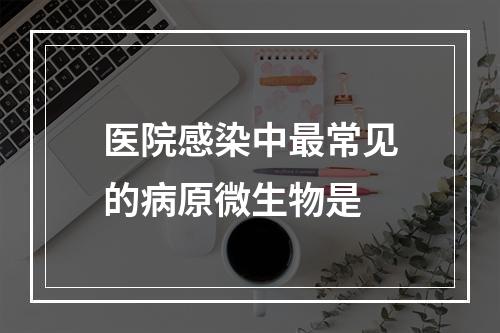 医院感染中最常见的病原微生物是