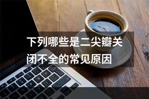 下列哪些是二尖瓣关闭不全的常见原因