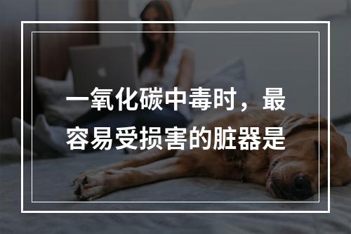 一氧化碳中毒时，最容易受损害的脏器是