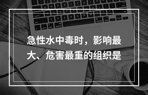 急性水中毒时，影响最大、危害最重的组织是