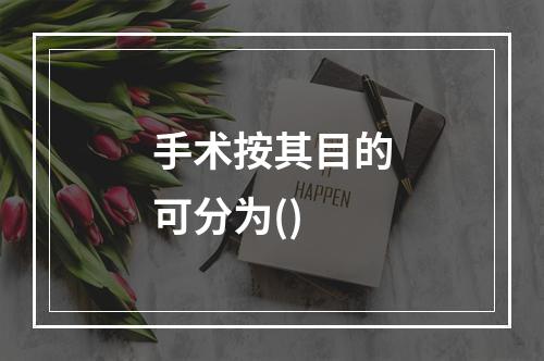 手术按其目的可分为()