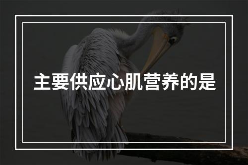 主要供应心肌营养的是