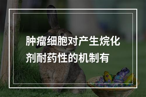 肿瘤细胞对产生烷化剂耐药性的机制有