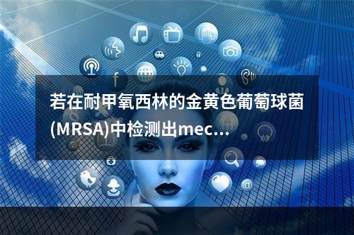 若在耐甲氧西林的金黄色葡萄球菌(MRSA)中检测出mecA基