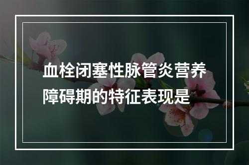 血栓闭塞性脉管炎营养障碍期的特征表现是