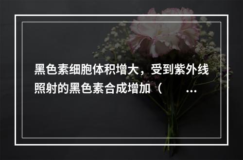 黑色素细胞体积增大，受到紫外线照射的黑色素合成增加（　　）。