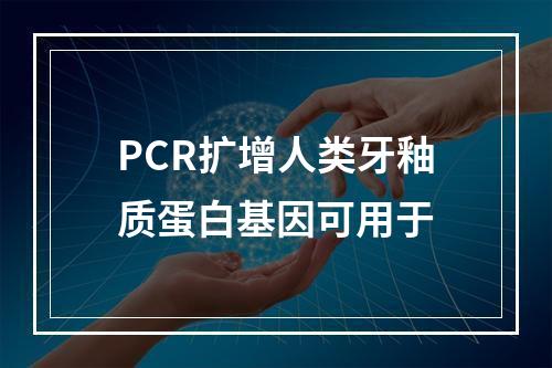 PCR扩增人类牙釉质蛋白基因可用于