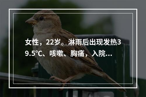 女性，22岁。淋雨后出现发热39.5℃、咳嗽、胸痛，入院后诉