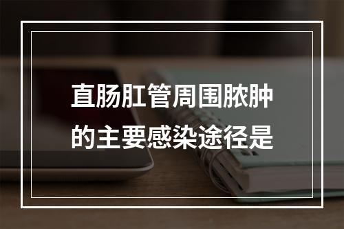 直肠肛管周围脓肿的主要感染途径是