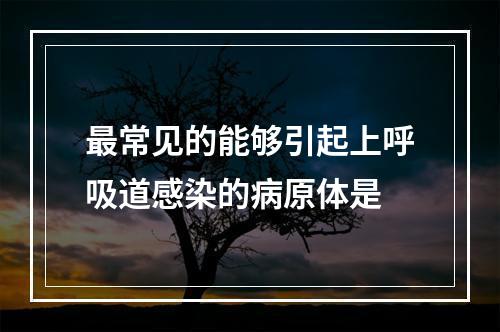 最常见的能够引起上呼吸道感染的病原体是