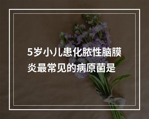 5岁小儿患化脓性脑膜炎最常见的病原菌是