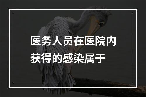 医务人员在医院内获得的感染属于