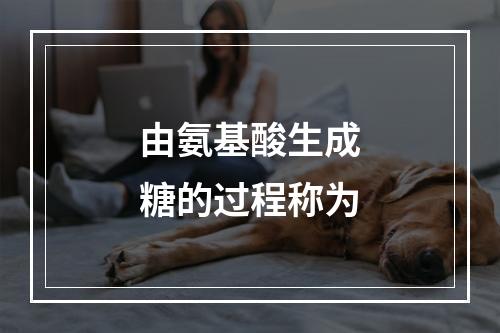 由氨基酸生成糖的过程称为