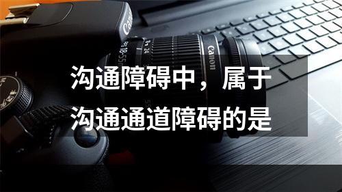 沟通障碍中，属于沟通通道障碍的是