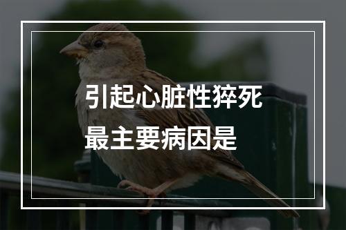 引起心脏性猝死最主要病因是