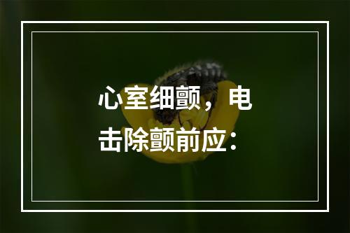 心室细颤，电击除颤前应：