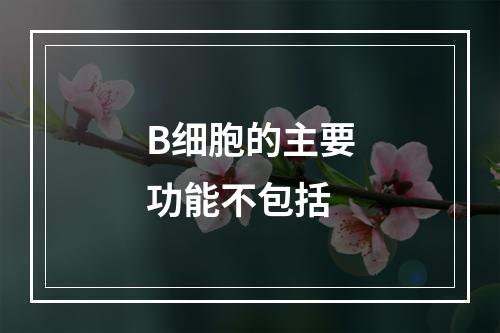 B细胞的主要功能不包括