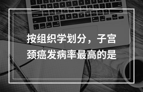 按组织学划分，子宫颈癌发病率最高的是