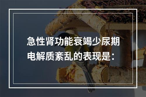 急性肾功能衰竭少尿期电解质紊乱的表现是：