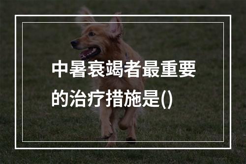 中暑衰竭者最重要的治疗措施是()