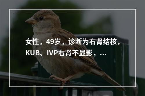 女性，49岁，诊断为右肾结核，KUB、IVP右肾不显影，右肾