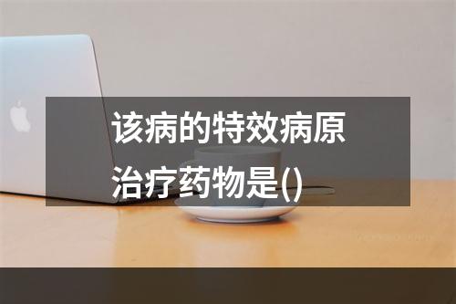 该病的特效病原治疗药物是()